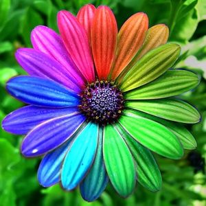 Meet your Posher, Marcie